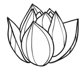lotous-logo